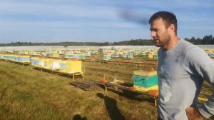 Промышленная пасека России, 4000+. Часть 5/5