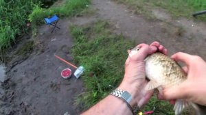 Вечерний карась на кук(пуф) - воздушное тесто _ тест экшн камеры yi4k в темноте