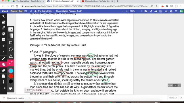 The Scarlet Ibis Annotations 101 смотреть онлайн