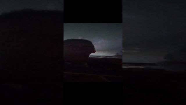 ариведерчи смотреть онлайн