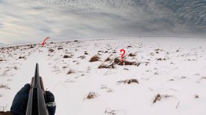 ОХОТА на ЗАЙЦА 2024. Вытропил двоих.