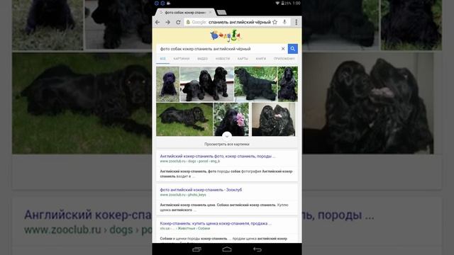 Как скачать фото из интернета смотреть онлайн