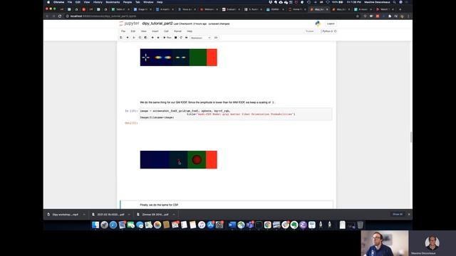 A tour of spherical harmonics-based local reconstruction techniques in DIPY - Part4 смотреть онлайн