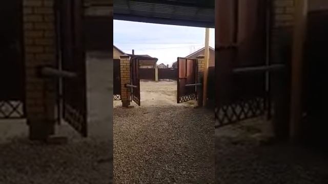 Автоматика распашных ворот Nice Wingo5kce открытие во внутрь (umdom123.ru)