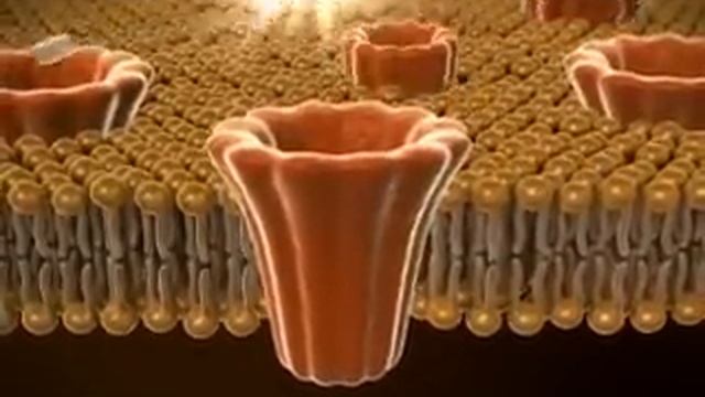 Актовегин - Видео.flv