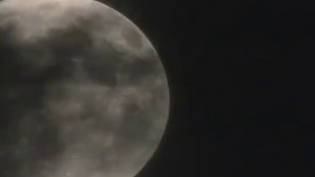 Zoboomafoo-109---Night-time-(Full-Episode) смотреть онлайн