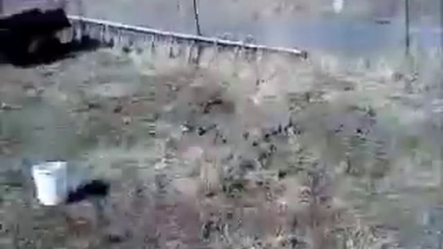 история степыгино смотреть онлайн