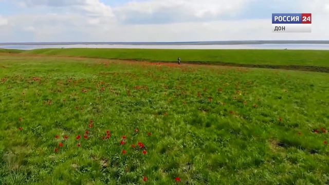Экотуризм в Ростовской области смотреть онлайн