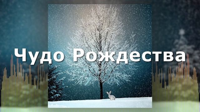 Рождественская Христианская Песня - Чудо Рождества - Алла Чепикова смотреть онлайн