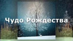 Рождественская Христианская Песня - Чудо Рождества - Алла Чепикова