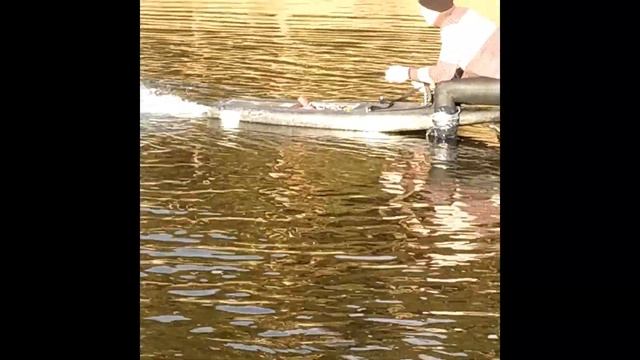 Испытания БК ЭД конструкции "Лев-1" с доской из углепластика (карбона) смотреть онлайн