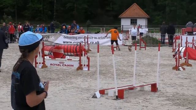 2012-05-18. WAO 2012. Henk Postma and Dolly. Individual Pentathlon Jumping 1. смотреть онлайн