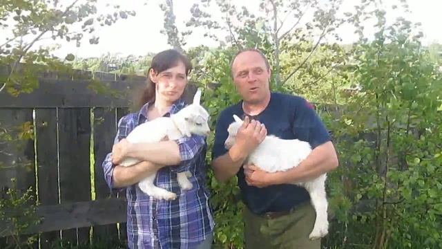 КОЗОВОДЫ ПЕРМСКОГО КРАЯ ОБЪЕДИНЯЙТЕСЬ!!!//деревенские будни смотреть онлайн