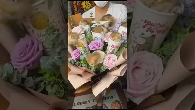 VID-20231027-WA0006.mp4 смотреть онлайн