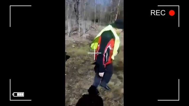 video 2022 05 11 шкуры лосей смотреть онлайн