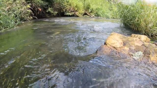 Река у старинной водяной мельницы / Красивые места Подмосковья / необычные места смотреть онлайн