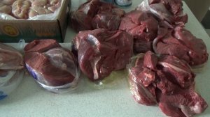 Памятка для покупателей. Мясной рацион котят мейн - кун из питомника «Волжский прайд» (Volga Pride)