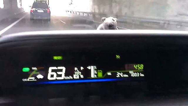Consumo medio real Toyota Prius Plus смотреть онлайн