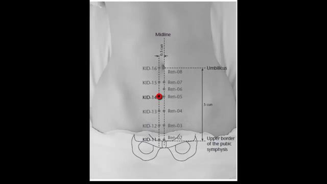 R14 Сы-мань смотреть онлайн