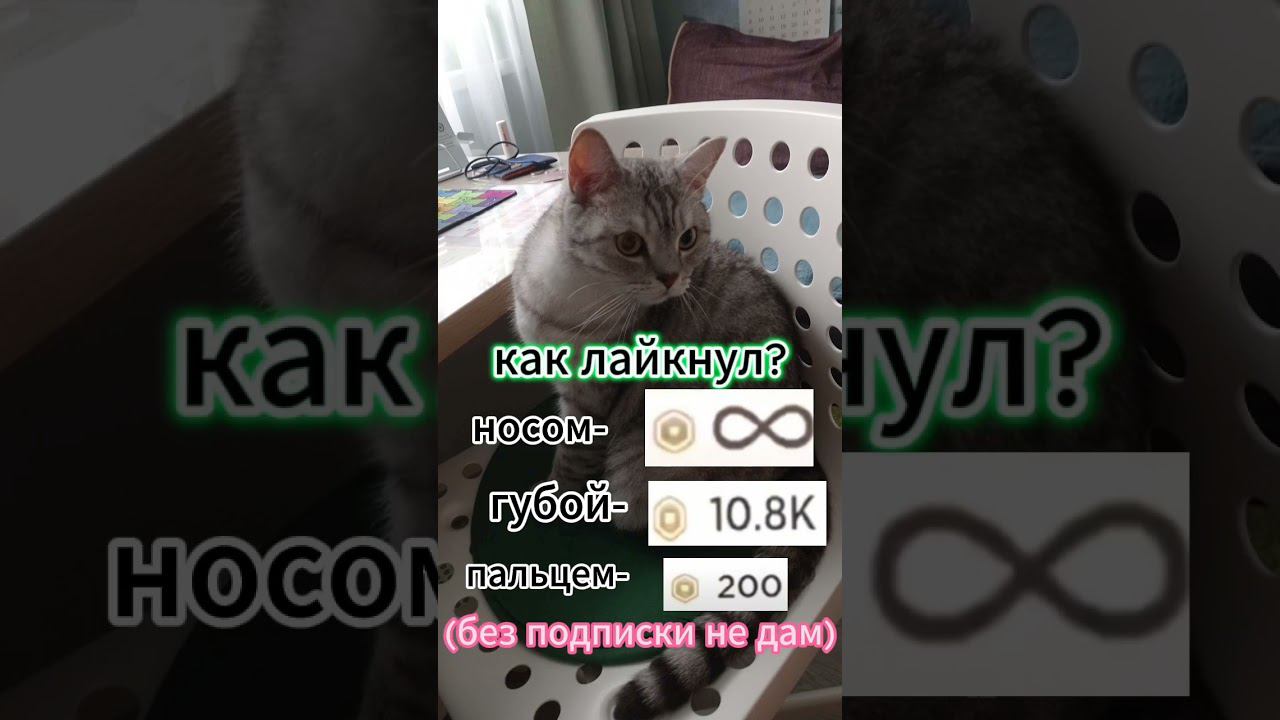 23 апреля 2024 г. смотреть онлайн