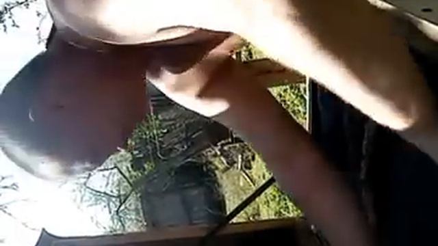 Карника F1 на местном трутне. смотреть онлайн