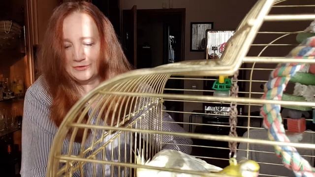 Колокольчик, прости! смотреть онлайн