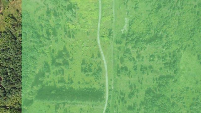 «Сочи» Лесная девервня в Новосибирске. Старт продаж. смотреть онлайн