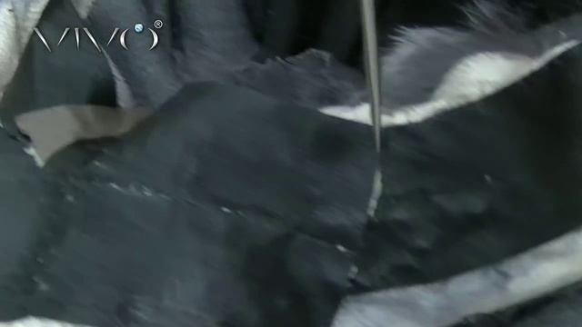 Как угробили шубу из шиншиллы в непрофессиональном ателье.Ремонтируйте свои шубы в меховых ателье. смотреть онлайн