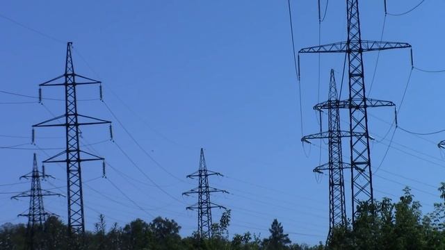 Лесу быть! смотреть онлайн