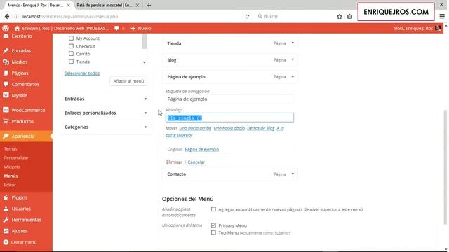 Cómo crear menús condicionales en WordPress смотреть онлайн