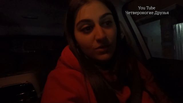 Увезла Маму и Дедушку в Ставрополь. Про плохие анализы Леди? Борису наложили новую повязку. смотреть онлайн