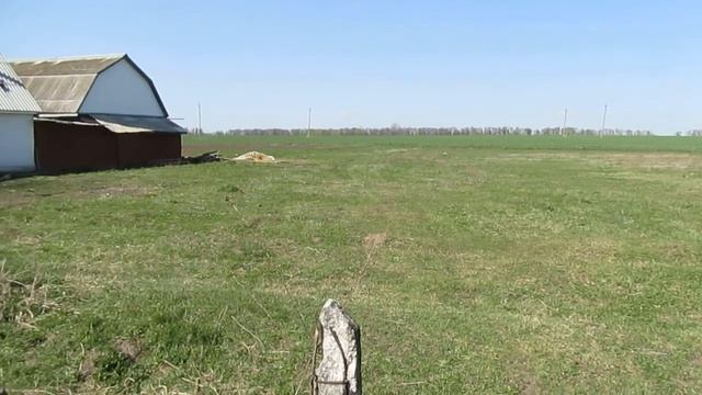 Продам участок 25соток с.Лещин Житом.обл. смотреть онлайн