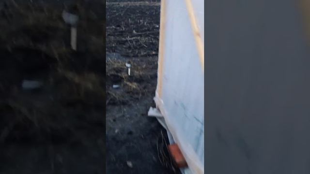 Строительство большой круглогодичной теплицы своими руками. смотреть онлайн