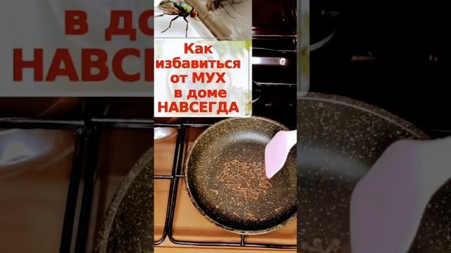 как избавиться от мух,комаров и мошек в вашем доме навсегда смотреть онлайн