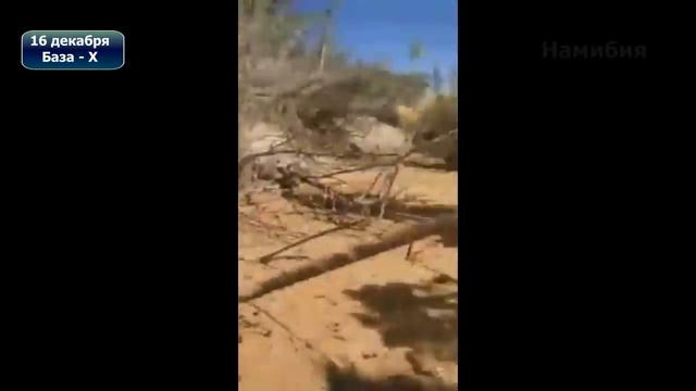 Катаклизмы за неделю с 13 по 19 декабря 2019 смотреть онлайн