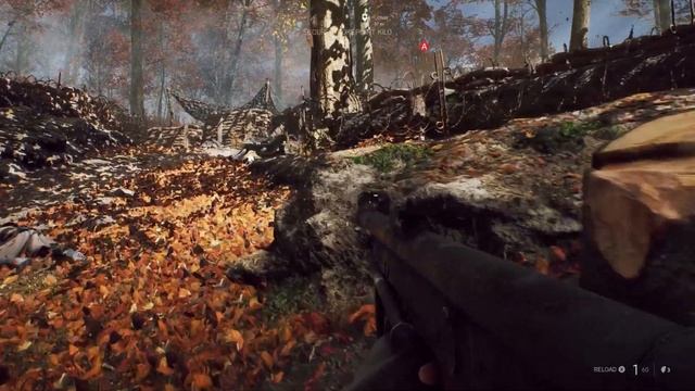 EVGA 2080ti Black Edition - Battlefield 5 - RTX Ultra - Nvidia Driver 417.22. 60FPS? смотреть онлайн