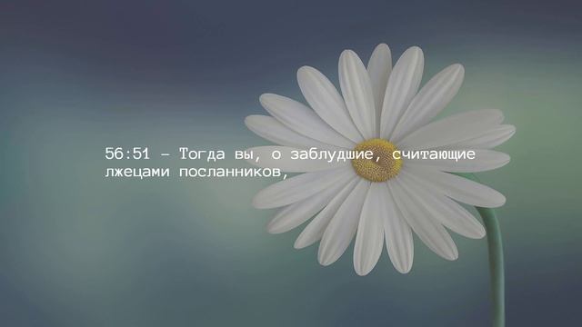 Глава 56 — Событие смотреть онлайн