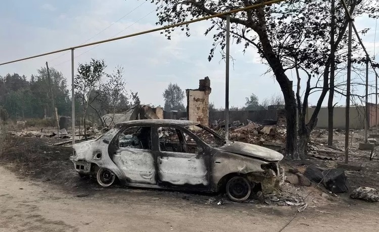 Пожары в Челябинской области: сгоревшие дома и посёлки
#Russia #Chelyabinsk #forestfire