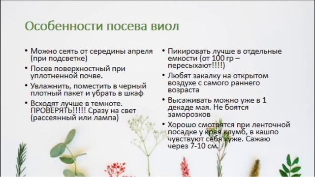 Однолетники в Сибири. Рассада Уход. Высадка в грунт. Шулепова Татьяна смотреть онлайн