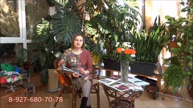 Обучение ландшафтному дизайну в Йошкар-Оле смотреть онлайн