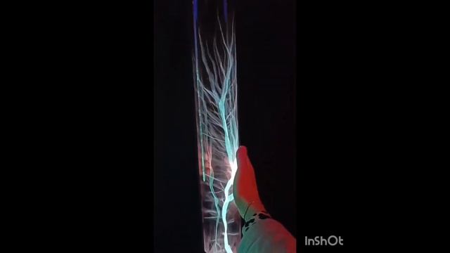 Невероятный музей Николы Тесла в Сочи парке смотреть онлайн