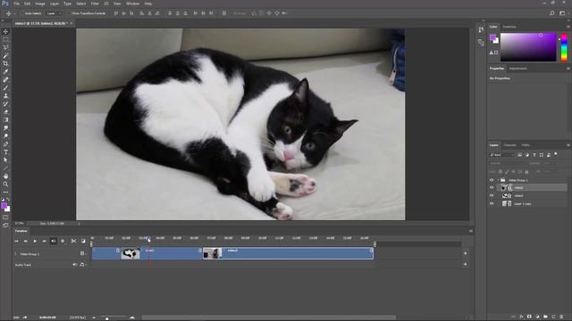 How to Edit and Cut Videos | Photoshop CC смотреть онлайн