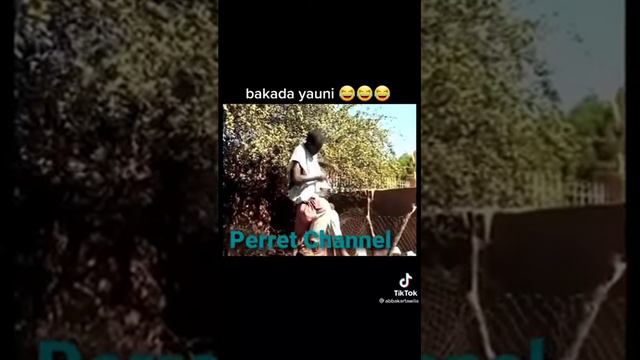 Niger 🇳🇪 détente est sourire смотреть онлайн