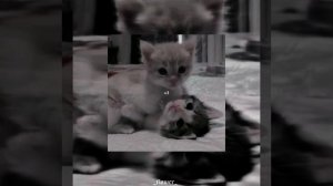 I’m So Lucky Lucky✨?(speed up)