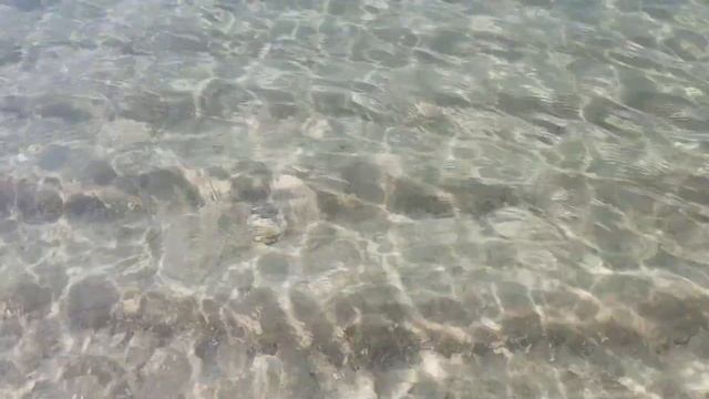 Лазурные пляжи Пенсаколы. смотреть онлайн