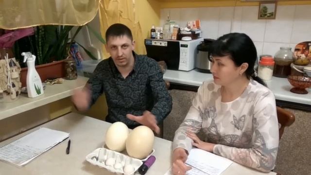 Советы ветврача ч.2 Инкубация смотреть онлайн