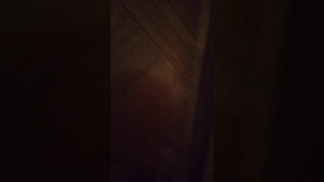 Обзор дома за 4т в сутки Новосибирская Обл.Аренда посуточно. смотреть онлайн