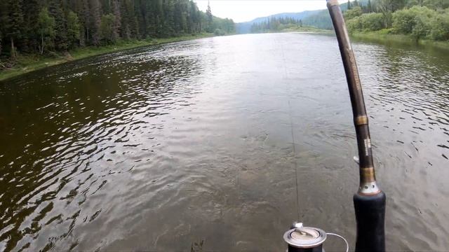 #Бомбарда# Как сделать снасть Бомбарда ,   вяжем поводок на снасть бомбарда  для ловли Хариуса 4-ка