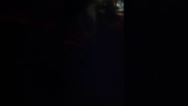 Adelaide Hoodless Halloween Haunt смотреть онлайн