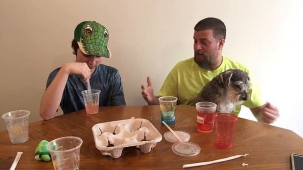 McDonald’s 3 NEW Minute Maid Slush Review